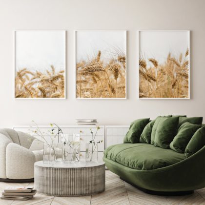 Wall Art Poster Set UAE – Wheat Field