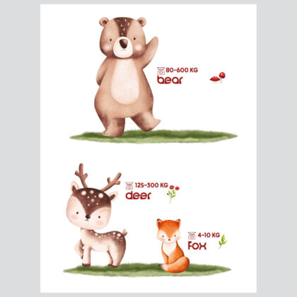 Forest Animals Poster Set | Let’s Get to Know the Forest Animals