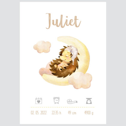 Personalised Woodland Kids Poster Hedgehog UAE – Dreaming Hedgehog | HIA Workshop®