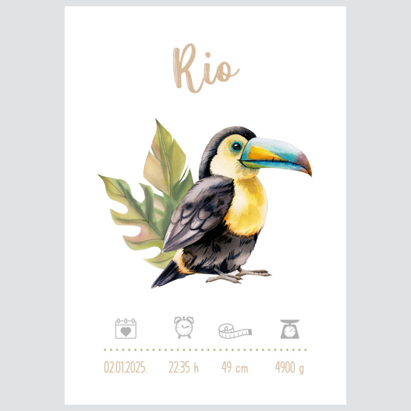 Personalised Safari Poster Toucan UAE – Toucan Safari Adventure | HIA Workshop® - Image 2