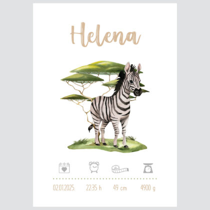 Personalised Kids Poster Zebra UAE – Zebra Safari Adventure | HIA Workshop®